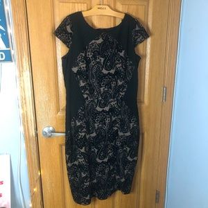 Black & Tan Bodycon Cocktail Dress